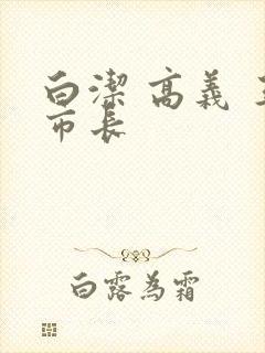 白洁 高义 王市长