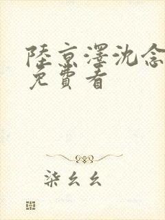 陆京泽沈念结局免费看封面