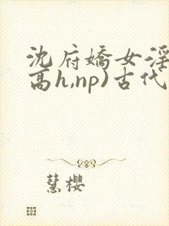 沈府娇女淫史(高h,np)古代