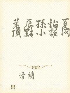 叶辰孙怡夏若雪顶点小说网封面