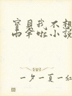 宝贝我不想带小雨伞啦小说