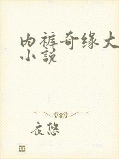 内裤奇缘大团结小说