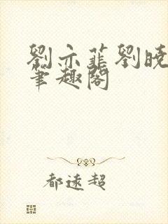 刘亦菲刘晓莉新笔趣阁封面