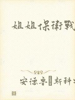 姐姐保卫战封面