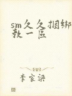 sm久久捆绑调教一区