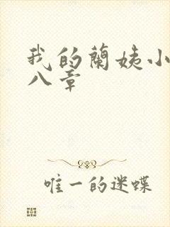 我的兰姨小说第八章