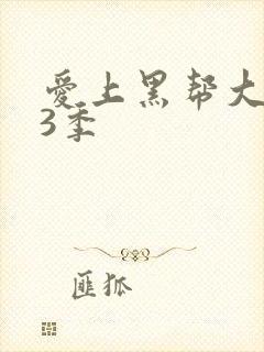 爱上黑帮大佬第3季