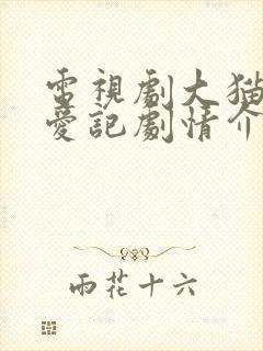 电视剧大猫儿追爱记剧情介绍封面