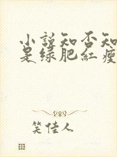 小说知否知否应是绿肥红瘦免费阅读