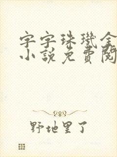 字字珠玑金银花小说免费阅读封面