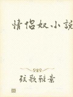 情侣奴小说封面