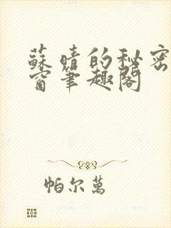 苏晴的秘密无弹窗笔趣阁