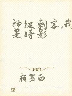 神级刺客,我即是暗影