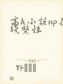 高h小说np在线双性