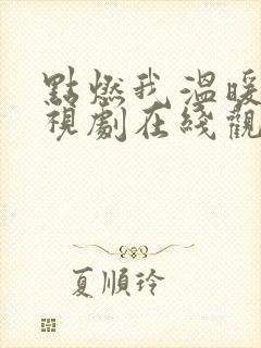 点燃我温暖你电视剧在线观看全集高清