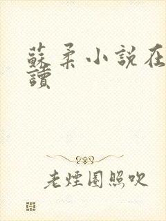 苏柔小说在线阅读