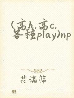 (高h,高c,各种play)np