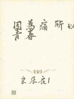 因为痛 所以叫青春