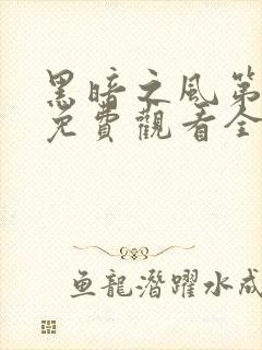 黑暗之风第一季免费观看全集高清