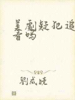 美剧疑犯追踪好看吗