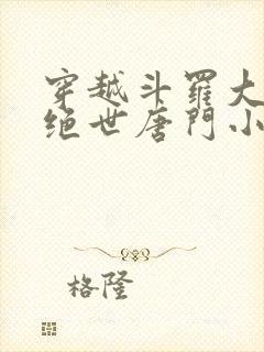 穿越斗罗大陆2绝世唐门小说