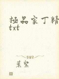 极品家丁精校版txt