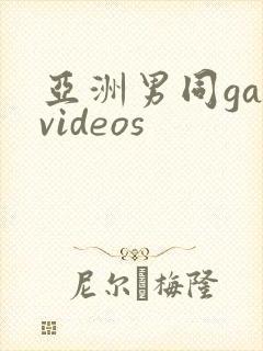 亚洲男同gayvideos封面