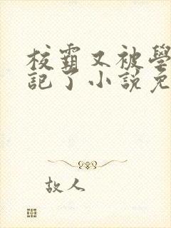 校霸又被学神标记了小说免费阅读