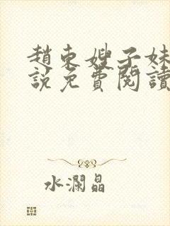 赵东嫂子妹妹小说免费阅读无弹窗封面