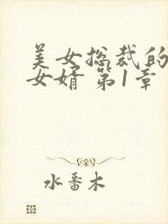 美女总裁的上门女婿 第1章
