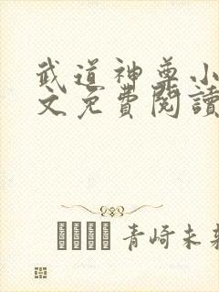 武道神尊小说全文免费阅读