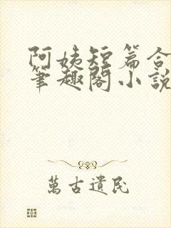 阿姨短篇合集_笔趣阁小说封面