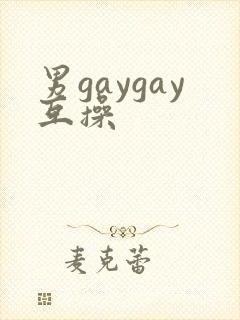 男gaygay互操