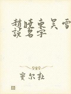 赵晓东吴雪晴小说名字