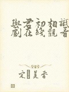 与君初相识电视剧在线观看免费完整版封面