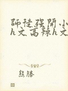 师徒强开小嫩苞h文高辣h文