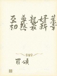 至尊龙婿叶辰萧初然最新章节