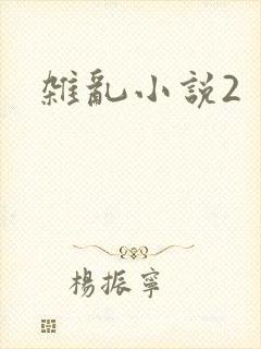 杂乱小说2