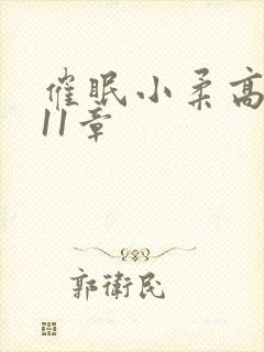 催眠小柔高达第11章