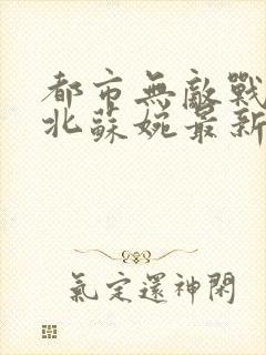 都市无敌战神林北苏婉最新章节