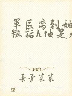 军区脔到她哭h粗话h他是疯批