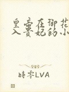 皇帝在御花园进入贵妃的小说封面