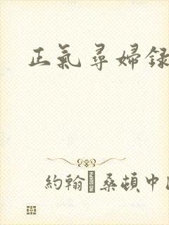 正气寻妇录