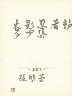 火影忍者动漫共多少集