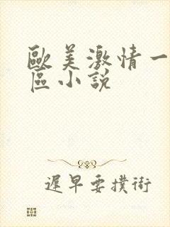 欧美激情一区二区小说