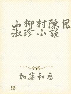 山柳村陈昆和王淑珍小说