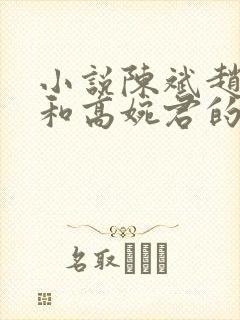 小说陈斌赵心媚和高婉君的小说免费阅读