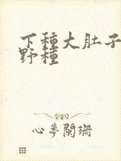 下种大肚子怀孕野种