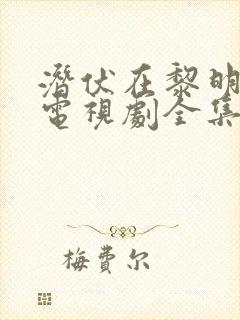 潜伏在黎明之前电视剧全集免费观看