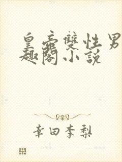 皇帝双性男男笔趣阁小说封面